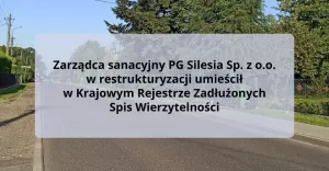 PG Silesia: Spis Wierzytelnoci w Krajowym Rejestrze Zaduonych