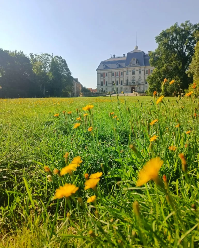 terazwpszczynie,parkpszczyński,parkzamkowy,zamekwpszczynie,lovepless,silesia,lovesilesia,fotodnia,