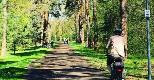 niedziela,spacer,rower,pszczyna,pless,trzydęby,park,turystyka,rekreacja,fotodnia,instagram