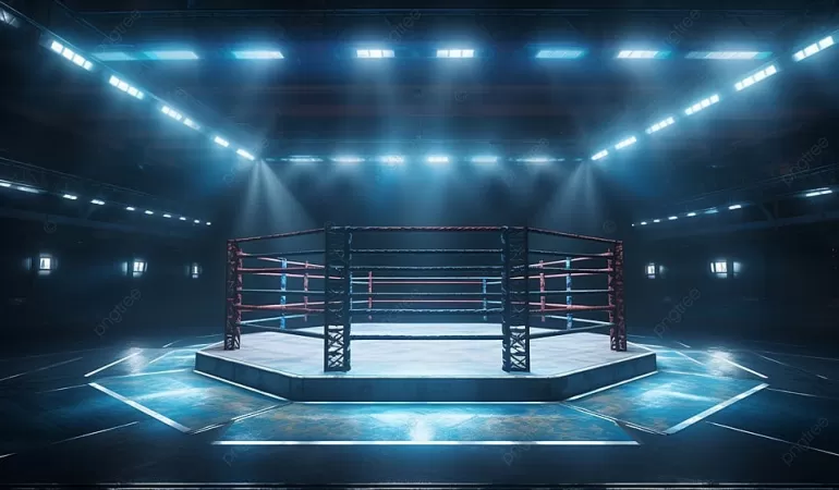 Najpopularniejsze Federacje MMA na Świecie