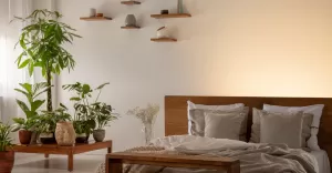 Kwiaty do sypialni oczyszczające powietrze