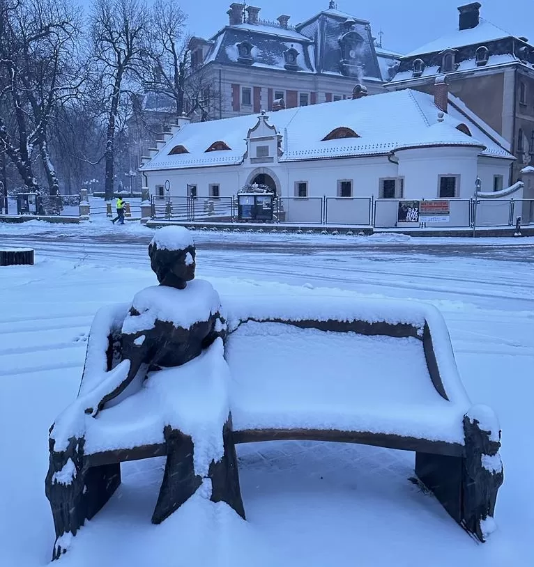 rynek, daisy, zima