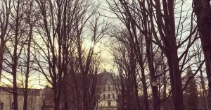 25listopada,sobota,jesień