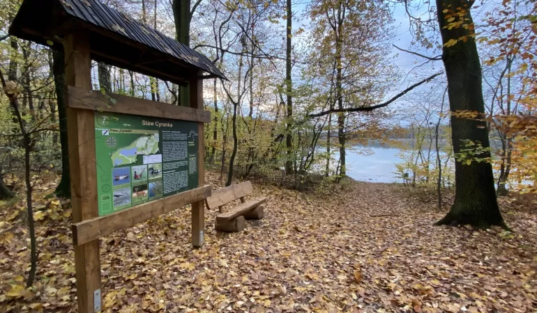 Park Zwierzyniec, Cyranka