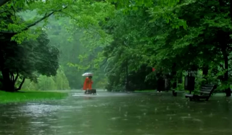 powódź park wielka woda w Pszczynie