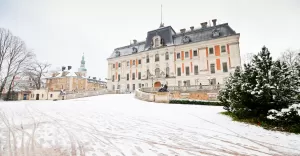 Zima, park, Muzeum Zamkowe, zamek, pałac, śnieg