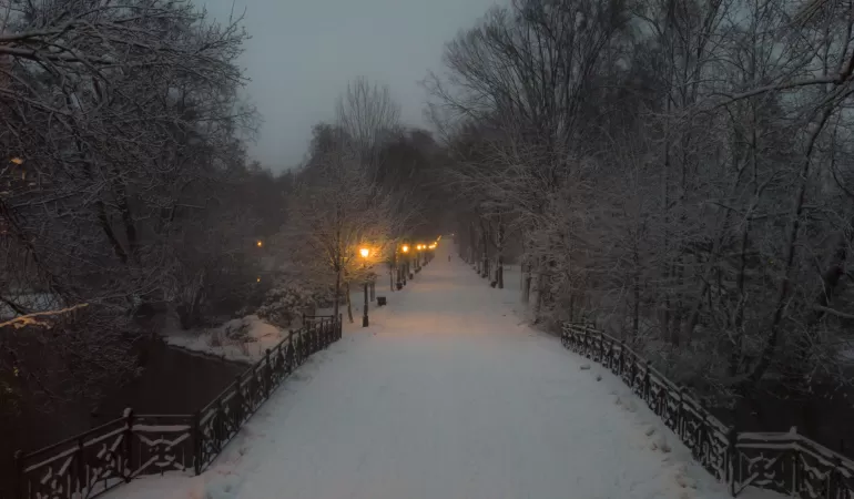 Pszczyna, park, alejka