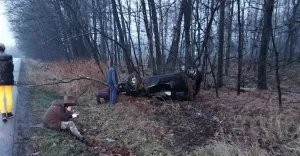 Dachowanie w Pawłowicach - 15.12.2021