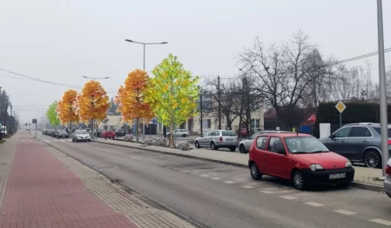 Nasadzenia przy ul. Słonecznej w Pszczynie - wizualizacja