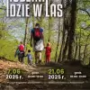 Rodzina idzie w las! Spotkania czerwcowe