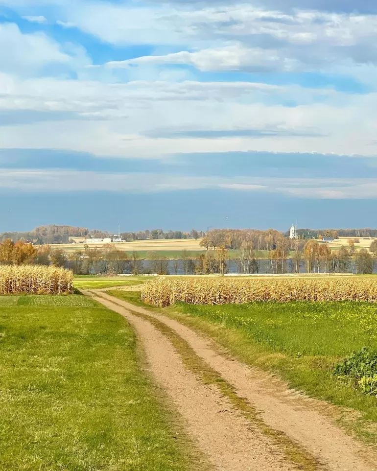 łąka, jezioro łąka, jesień, pole