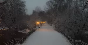Pszczyna, park, alejka