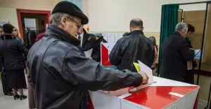 Wybory samorządowe 2014