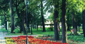goczalkowice,uzdrowisko,kwiaty,park,lato,fotodnia,instagram