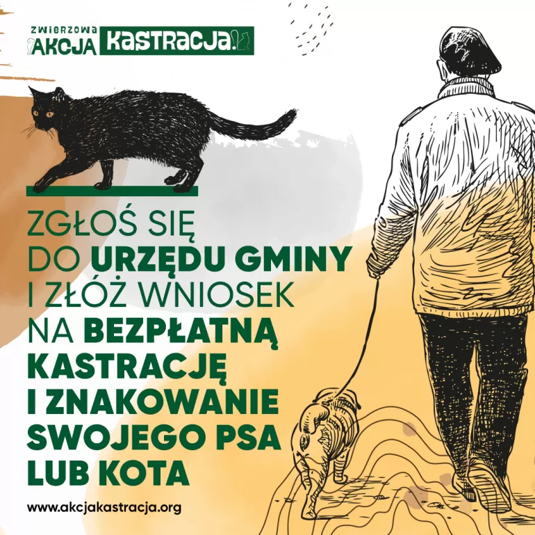 kastracja