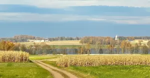 łąka, jezioro łąka, jesień, pole