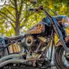 Zlot motocykli Harley Davidson na rynku Pszczynie!