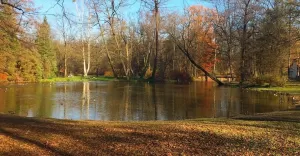 16listopada,pszczyna,park,jesień