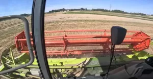 Żniwa pszenicy CLAAS Trion & CASE International