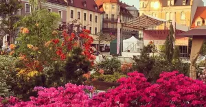 pszczyna,rynek,daisydays,ogrodydaisy,fotodnia,instagram