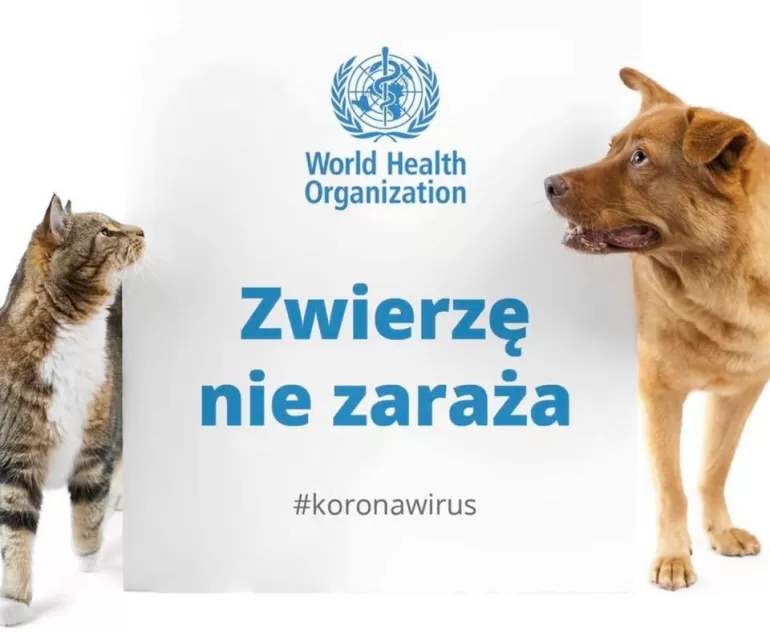 zwierzęta koronawirus
