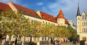 pszczyna,pless,listopad,jesień,rynek,starówka,silesia,lovesilesia,fotodnia,instagram