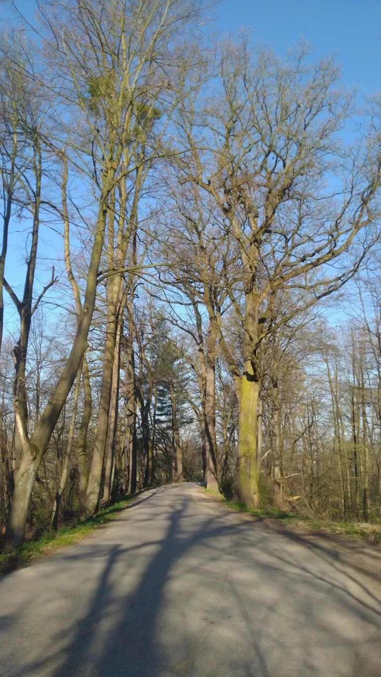 Zamknięcie drogi prowadzącej Łącką Groblą