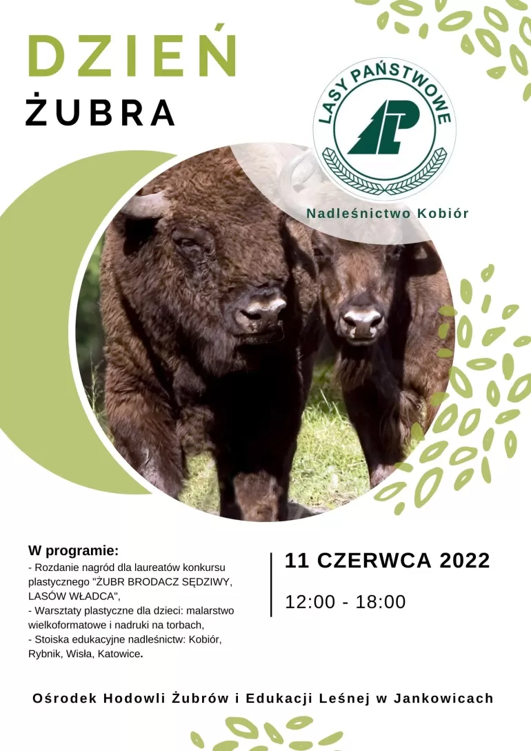 dzień żubra