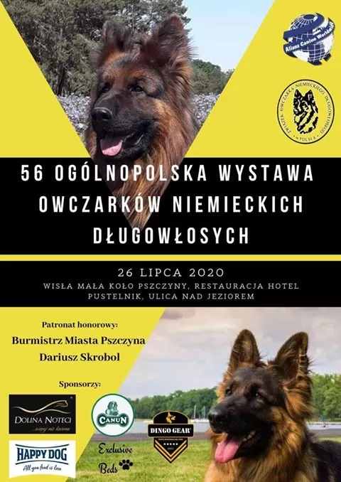 Wystawa Owczarków Niemieckich Długowłosych w Wiśle Małej