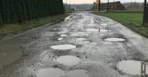 ulica Jelenia w Jankowicach