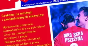 Staż trenerski 2013 - plakat