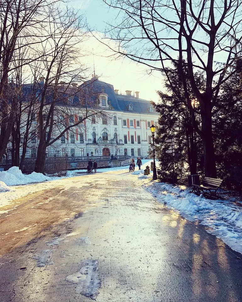 terazwpszczynie,pszczyna,pless,park,parkpszczyński,muzeumzamkowe,zima,słonecznie,fotodnia,instagr