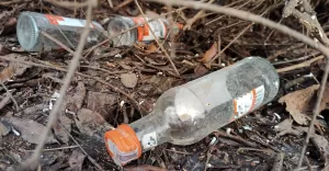 małpki, alkohol, wódka