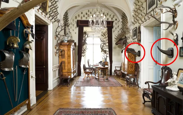 Rogi nosorożca z zamku jako preparat leczniczy w Azji? Były konserwowane trującymi środkami
