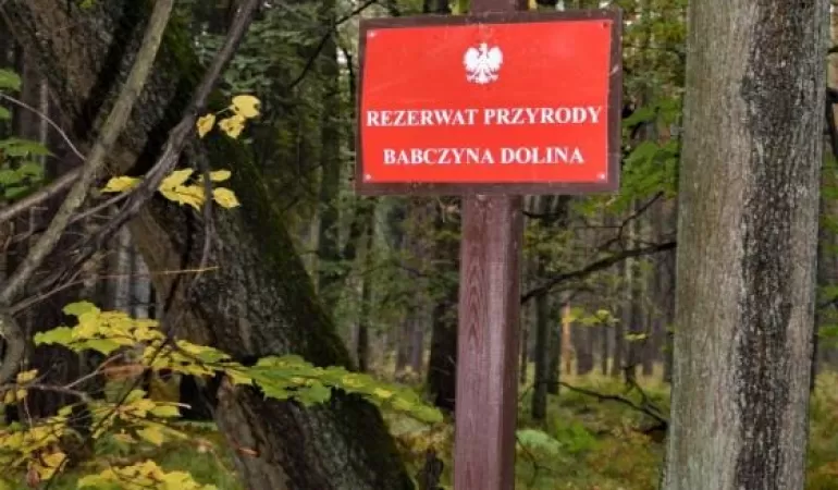 Babczyna Dolina