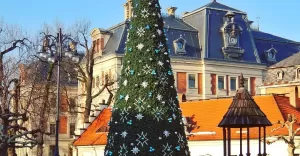 pszczyna,rynek,choinka,swieta,bozenarodzenie,bombki,lampki,zamek,silesia,lovesilesia,fotodnia,insta