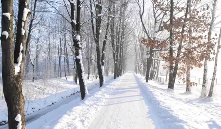 park zdrojowy