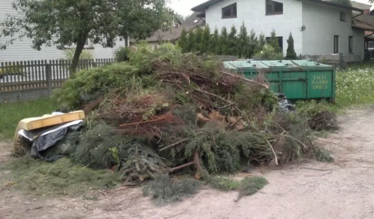 Kosz, zieleń, drzewa, trawa, pojemnik kontener,