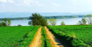 teraz,łąka,jezioro,goczałkowice,spacer,turystyka,śląsk,silesia,pless,fotodnia,instagram