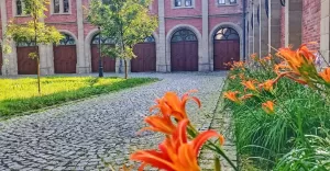 terazwpszczynie,stajnieksiążęcewpszczynie,parkpszczyński,kwiaty,spacer,lovepless,lovesilesia,fo
