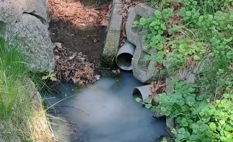 Ścieki w rowach melioracyjnych