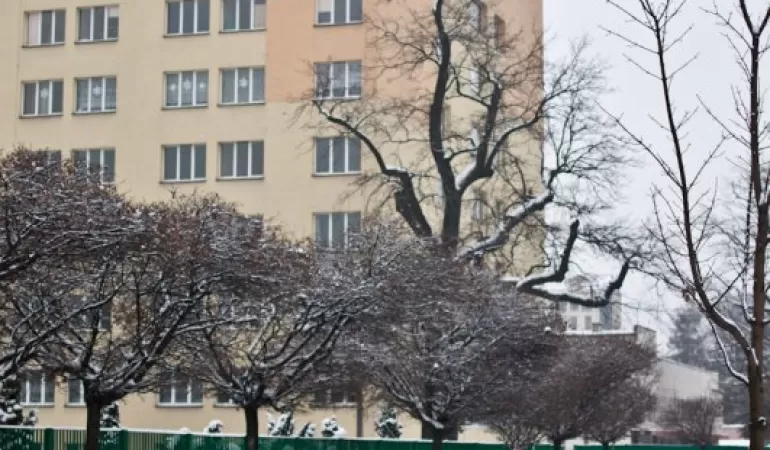Szpital w Pszczynie