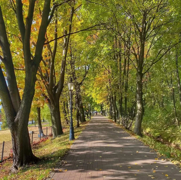 Goczałkowice,GoczałkowiceZdrój,Park,Deptak,Październik,Jesień,LoveSilesia,fotodnia,instagram