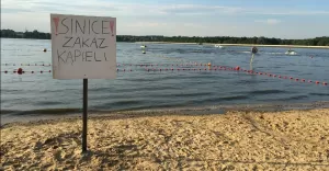 sinice, osw, plaża, łąka, zakaz kąpieli
