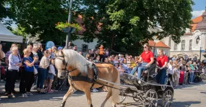 Majówka Konna - Parada Konna