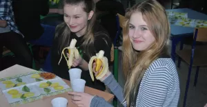 Publiczne Gimnazjum nr 4 w Pszczynie