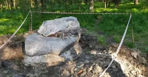 kamień, las żwakowski