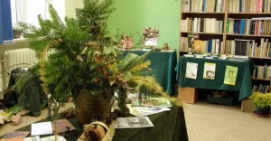 Pedagogiczna Biblioteka Wojewódzka, Filia w Pszczynie