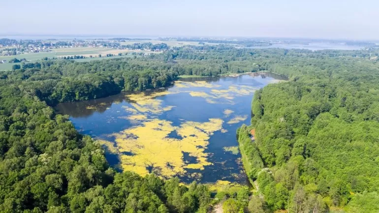 Pszczyna,Cyranka,parkzwierzyniecwpszczynie,parkpszczyński,lovesilesia,lovepless,czerwiec2021,fotod