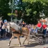 [ZDJĘCIA] Majówka konna w Pszczynie: zawody i parada!